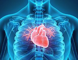 Cardiology