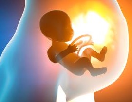 Obstetrics and Gynecology